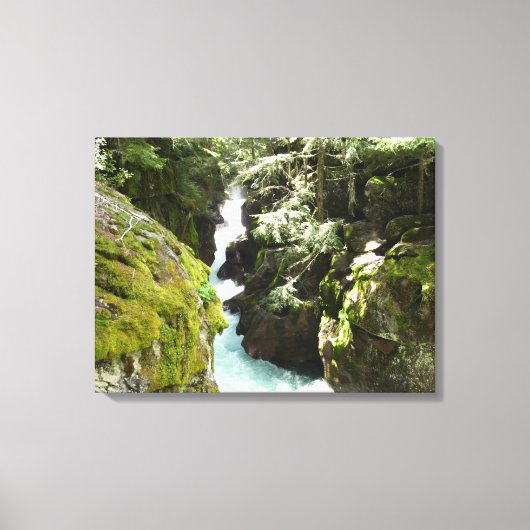 Avalanche Gorge II in het Nationaal Park Glacier Canvas Afdruk (Voorkant)