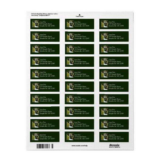 Avalanche Gorge II in het Nationaal Park Glacier Etiket (Full Sheet)