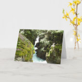 Avalanche Gorge II in het Nationaal Park Glacier Kaart (Gele Bloem)