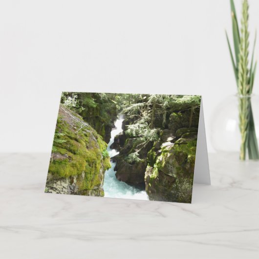 Avalanche Gorge II in het Nationaal Park Glacier Kaart (Voorkant)