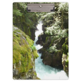 Avalanche Gorge II in het Nationaal Park Glacier Klembord (Voorkant)