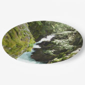 Avalanche Gorge II in het Nationaal Park Glacier Papieren Bordje (Gekanteld)