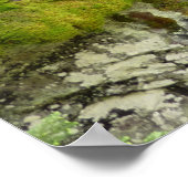 Avalanche Gorge II in het Nationaal Park Glacier Poster (Hoek)