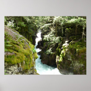 Avalanche Gorge II in het Nationaal Park Glacier Poster