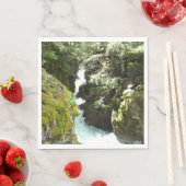 Avalanche Gorge II in het Nationaal Park Glacier Servet (Insitu)