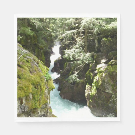 Avalanche Gorge II in het Nationaal Park Glacier Servet (Voorkant)
