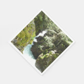 Avalanche Gorge II in het Nationaal Park Glacier Servet (Hoek)