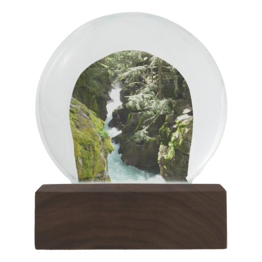 Avalanche Gorge II in het Nationaal Park Glacier Sneeuwbol (Voorkant)