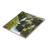 Avalanche Gorge II in het Nationaal Park Glacier Tegeltje (Zijkant)