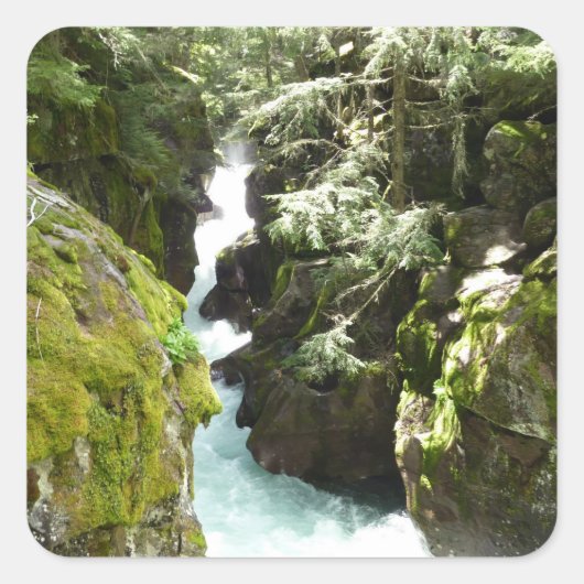 Avalanche Gorge II in het Nationaal Park Glacier Vierkante Sticker (Voorkant)