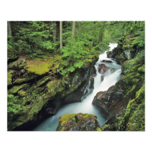 Avalanche Gorge in Glacier National Park in Foto Afdruk