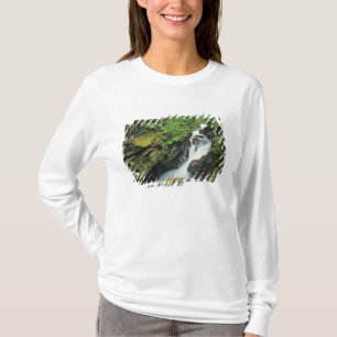 Avalanche Gorge in Glacier National Park in T-shirt