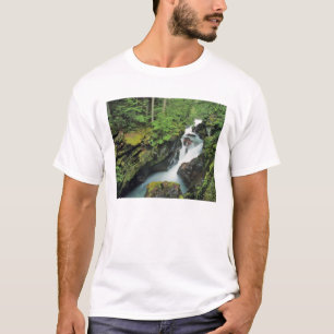 Avalanche Gorge in Glacier National Park in T-shirt