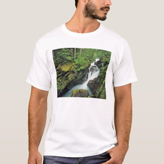 Avalanche Gorge in Glacier National Park in T-shirt (Voorkant)