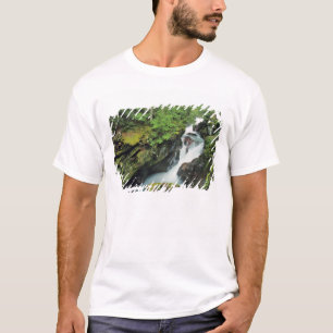 Avalanche Gorge in Glacier National Park in T-shirt