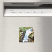 Avalanche Herfsten Waterval New Hampshire Magnet (Insitu (Vaatwasser))