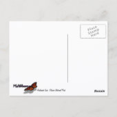 Avalanche Lake I in Glacier National Park Briefkaart (Achterkant)