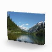Avalanche Lake I in Glacier National Park Fotoblokken (Rechts)