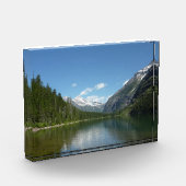 Avalanche Lake I in Glacier National Park Fotoblokken (Links)