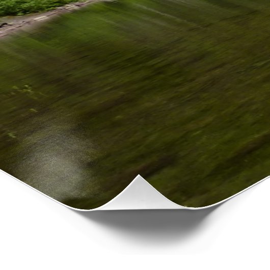 Avalanche Lake I in Glacier National Park Poster (Hoek)