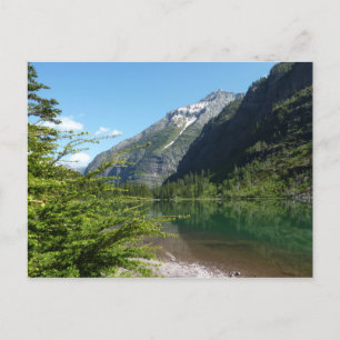 Avalanche Lake II in Glacier National Park Briefkaart