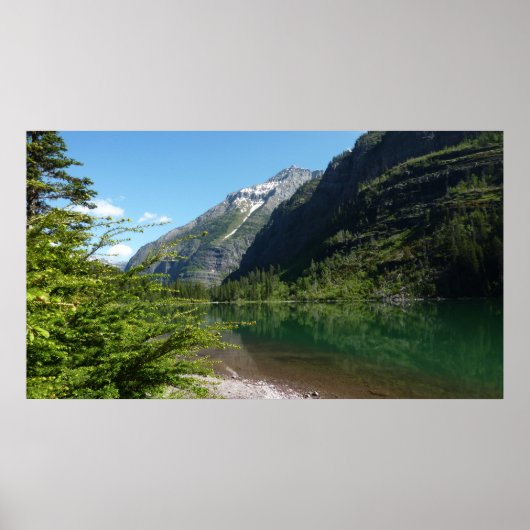 Avalanche Lake II in Glacier National Park Poster (Voorkant)