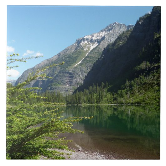Avalanche Lake II in Glacier National Park Tegeltje (Voorkant)