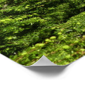 Avalanche Lake II in het Nationaal Park Glacier Poster (Hoek)