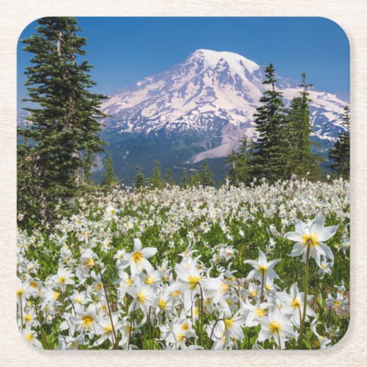 Avalanche lelies en Mount Rainier 2 Kartonnen Onderzetters (Voorkant)