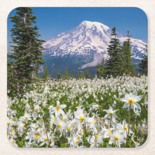 Avalanche lilies en Mount Rainier 2 Kartonnen Onderzetters