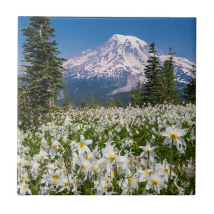 Avalanche lilies en Mount Rainier 2 Tegeltje