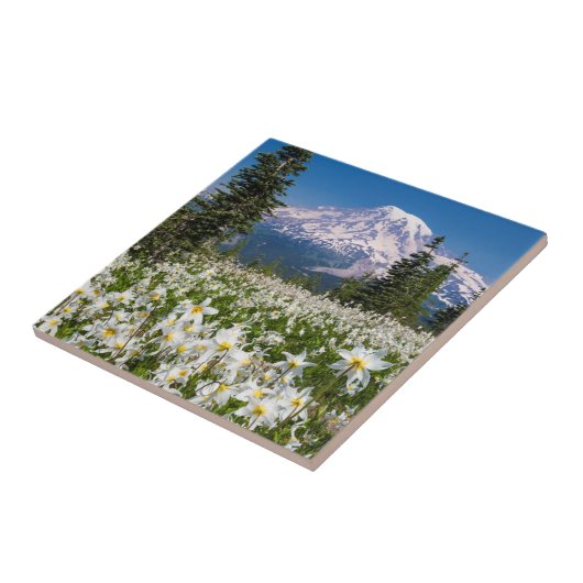Avalanche lilies en Mount Rainier 2 Tegeltje (Zijkant)