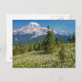 Avalanche lilies en Mount Rainier Briefkaart (Voorkant / Achterkant)