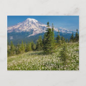 Avalanche lilies en Mount Rainier Briefkaart (Voorkant)
