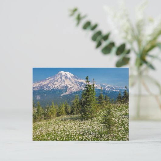 Avalanche lilies en Mount Rainier Briefkaart (Staand voorkant)