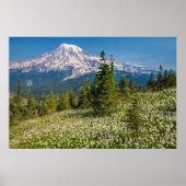 Avalanche lilies en Mount Rainier Poster (Voorkant)