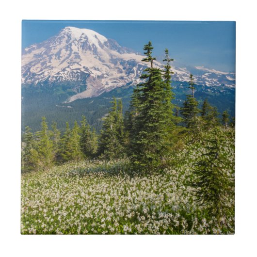 Avalanche lilies en Mount Rainier Tegeltje (Voorkant)