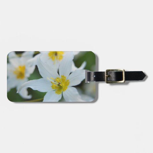 Avalanche Lilies in Paradise Park Bagagelabel (Voorkant horizontaal)