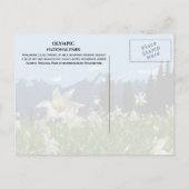 Avalanche Lilies, Mountains, Olympisch Nationaal P Briefkaart (Achterkant)