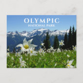 Avalanche Lilies, Mountains, Olympisch Nationaal P Briefkaart (Voorkant)