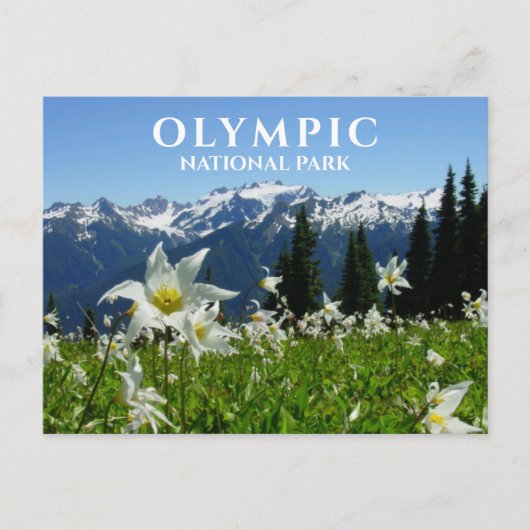 Avalanche Lilies, Mountains, Olympisch Nationaal P Briefkaart (Voorkant)