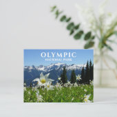 Avalanche Lilies, Mountains, Olympisch Nationaal P Briefkaart (Staand voorkant)