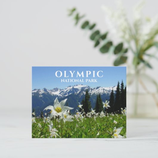 Avalanche Lilies, Mountains, Olympisch Nationaal P Briefkaart (Staand voorkant)