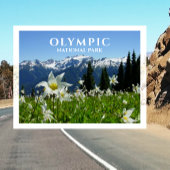 Avalanche Lilies, Mountains, Olympisch Nationaal P Briefkaart