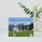 Avalanche Lilies, Mountains, Olympisch Nationaal P Briefkaart (Staand voorkant)
