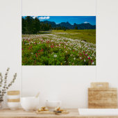 Avalanche Lily Superbloom Poster (Keuken)