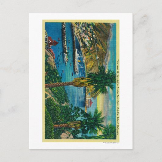 Avalon Bay, Santa Catalina Island, van Skyline Briefkaart (Voorkant)