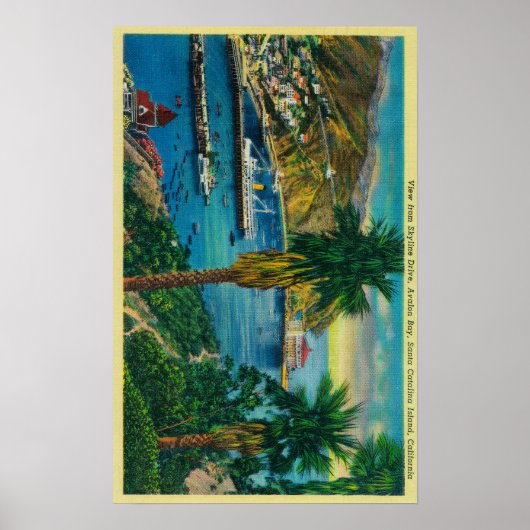 Avalon Bay, Santa Catalina Island, van Skyline Poster (Voorkant)