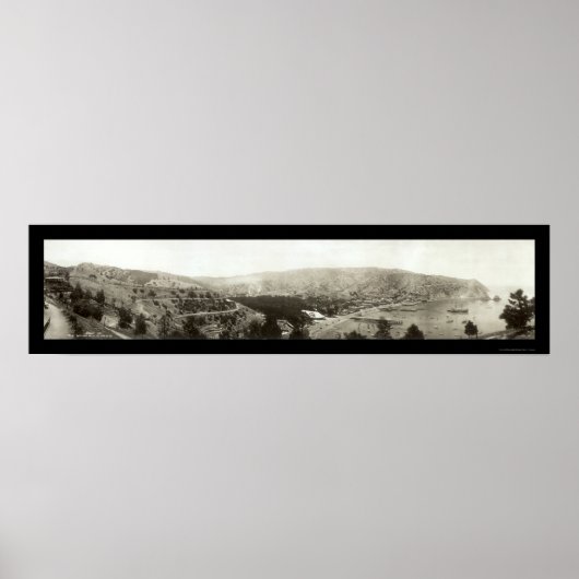 Avalon, CA Catalina Island Foto 1910 Poster (Voorkant)
