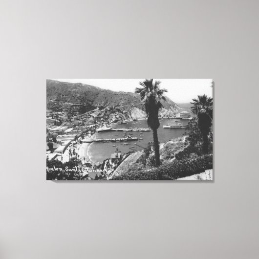 Avalon, CA Santa Catalina, Uitzicht van Harbour Canvas Afdruk (Voorkant)